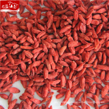 Hot sal free samples factory supply	premium USA goji berry